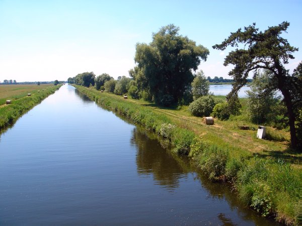 Karpfenteich(e)