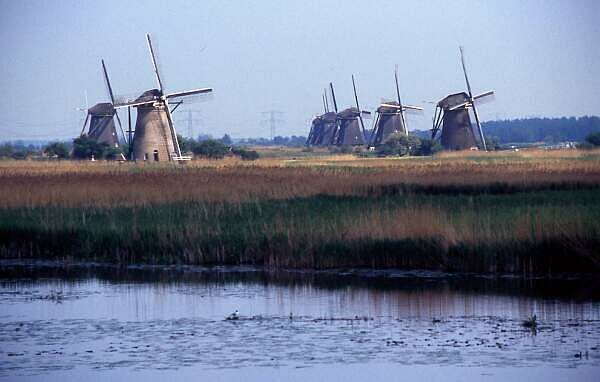 3. Hertogenbosch - Hoek van Holland: "Windmhlen vor Rotterdam"